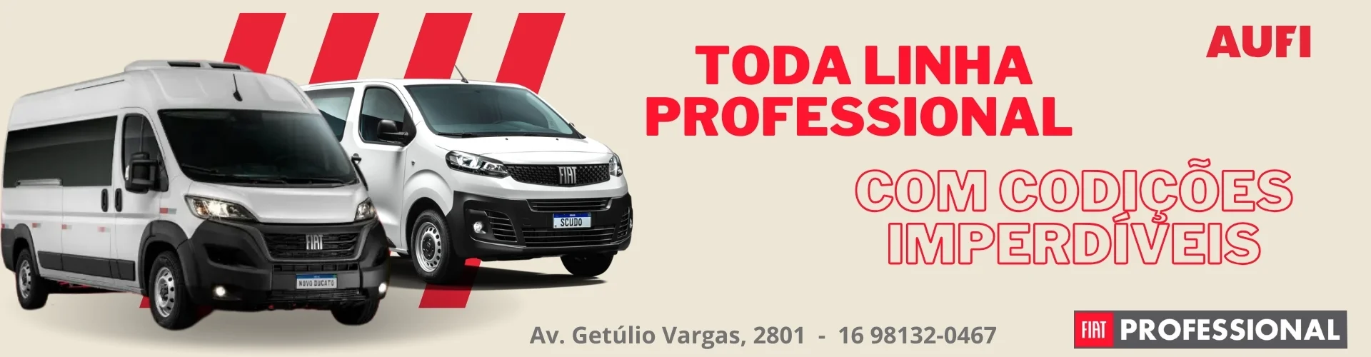 Professional 2 Professional 2